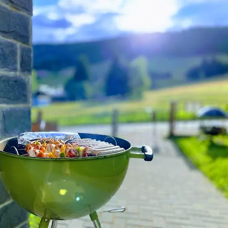 Holiday home Tolles In Kurort Mit Garten Und Grill Oberwiesenthal